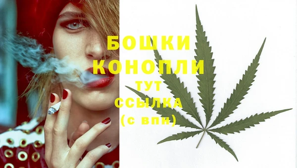 дживик Осташков
