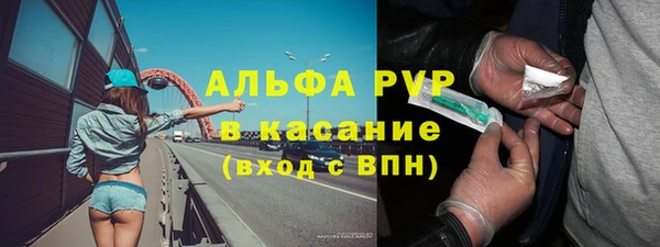дживик Осташков