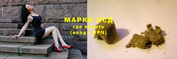 дживик Осташков