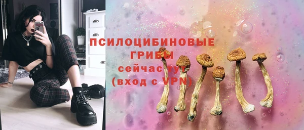 дживик Осташков