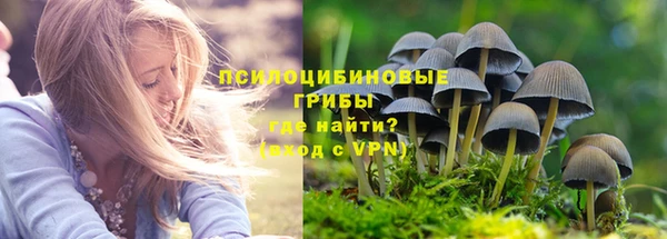 jwh Осинники