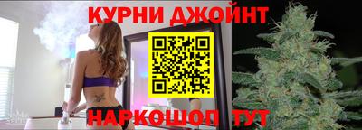 мдпв Гатчина