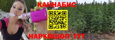 мдпв Гатчина