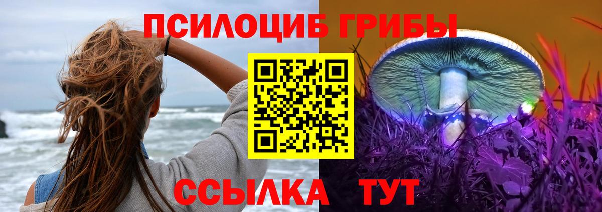 купить наркотики сайты  Галлюциногенные грибы GOLDEN TEACHER  Вход с VPN  Сатка  Галлюциногенные грибы Cubensis 