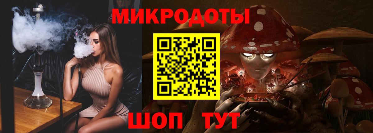 где найти   Сатка  Псилоцибиновые грибы Cubensis 